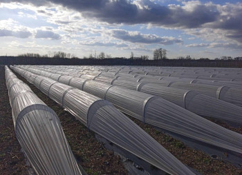 Продажа ягодной фермы 12 га в Киевской области